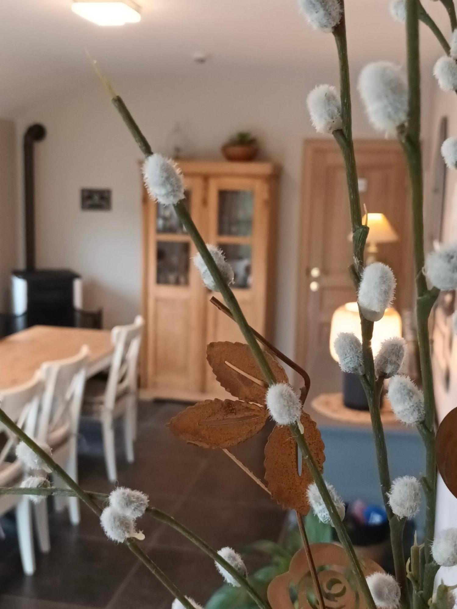 Le Relais De La Motte Acomodação com café da manhã Soignies Exterior foto